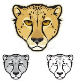 Cheetah Face stock vectors - Clipart.me