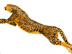 Cheetah Clipart - Free Clipart on Dumielauxepices.net