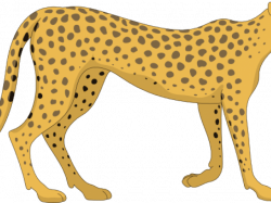Colorful Cheetah Wallpaper Free Download Clip Art - carwad.net