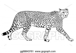 Vector Stock - cheetah. Clipart Illustration gg68843761 - GoGraph