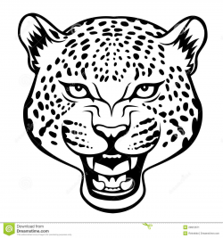 Snow Leopard Coloring Pages Awesome 20 Coloring Pages Cheetah ...