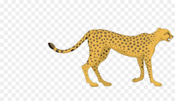 Cheetah Cartoon Leopard Clip art - leopard png download - 1920*1080 ...