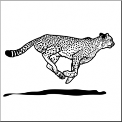 Clip Art: Big Cats: Cheetah B&W I abcteach.com | abcteach
