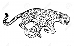 Cheetah Clipart Black And White - Letters
