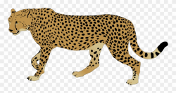 Svg Freeuse Library Cheetah Rainbow Free Collection ...