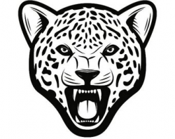 Cheetah 8 Leopard Jaguar Wild Cat Spots Wildlife Wild Animal