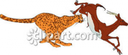 Cheetah Attacking a Gazelle - Royalty Free Clipart Picture