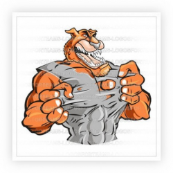 Mascot Logo Part of a Muscular Cheetah Tearing His Shirt