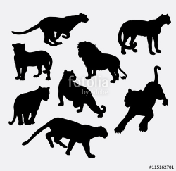 Cheetah, lion, tiger, and panther wild animal silhouette. Good use ...