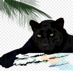 Black panther Cougar Leopard Jaguar Cheetah - Black Puma png ...