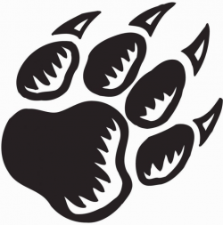 √ Everything You Need To Know About Paw Print | Timrosa Blog