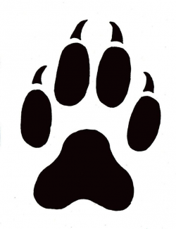 28+ Collection of Cheetah Paw Drawing | High quality, free cliparts ...
