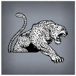 Jaguar With Spots Roaring