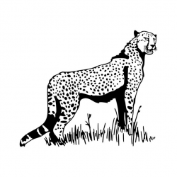 Cheetah Leopard graphics design SVG DXF EPS by vectordesign on Zibbet