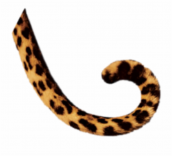 cheetah #cheetahtail #tail #cattail #animaltail - Animal ...