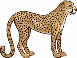 28+ Collection of Cheetah Clipart | High quality, free cliparts ...