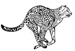 Cheetah stock vectors - Clipart.me