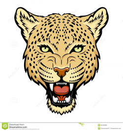 Baby Cheetah Clipart | Free download best Baby Cheetah Clipart on ...