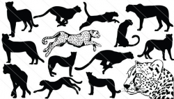 Cheetah Silhouette Vector Graphics | tattoos | Silhouette ...
