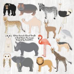 183 best Animal Illustrations & Clipart - VizualStorm images on ...