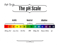 The scale of acids and bases on the pH scale is provided with this ...