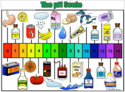 pH Scale Activity to use with your Acids and Bases Unit | Ph, Scale ...