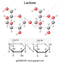 EPS Vector - Chemical formula and model of lactose molecule. Stock ...
