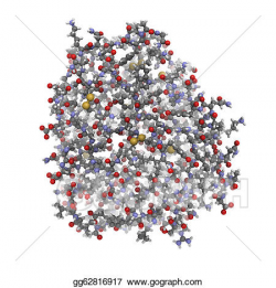 Stock Illustration - Trypsin enzyme molecule, chemical structure ...