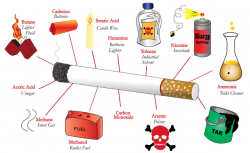 Chemicals In Cigarettes « Quit Train®