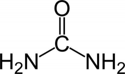What is the chemical structure of urea? - Quora