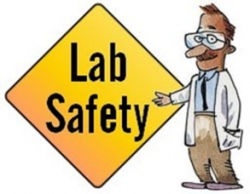 General Guidelines For Safe Handling Of Chemicals In Laboratory ...