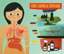 Toxic Economy: How Common Chemicals Cost US Billions Every Year ...