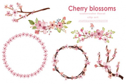 Cherry blossom watercolor clip art ~ Illustrations ~ Creative Market