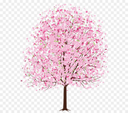 Cherry blossom Tree Clip art - Pink Spring Deco Tree PNG Clipart png ...
