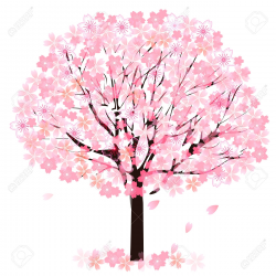 Fresh Cherry Blossom Clipart Gallery - Digital Clipart Collection