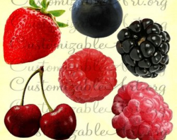 Berry clipart | Etsy