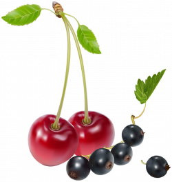 Cherries and Blueberries PNG Clipart - Best WEB Clipart