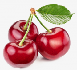 Bunch Of Cherries, Red, Three, With Leaves PNG Image and Clipart for ...