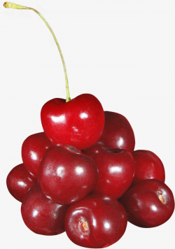 Red Cherry, Cherry, Fruit, Bunch Of Cherries PNG Image and Clipart ...