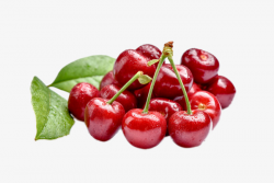 Bunch Of Cherries, Cherry, Red, Green Leaves PNG Image and Clipart ...