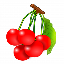 Clipart - Cherries