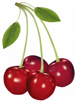 Cherries PNG Clipart Picture | Gallery Yopriceville - High-Quality ...