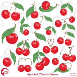 Cherry Clipart, cherries vector, Berry cherry clipart AMB-2440