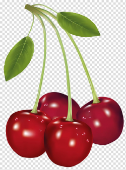 Cherry Fruit , Cherries , four red cherry fruits transparent ...