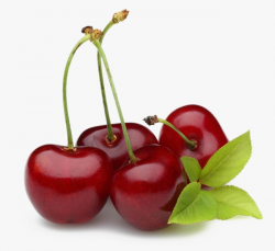 Fresh Cherries, Cherry, Cherries PNG Image and Clipart for ...