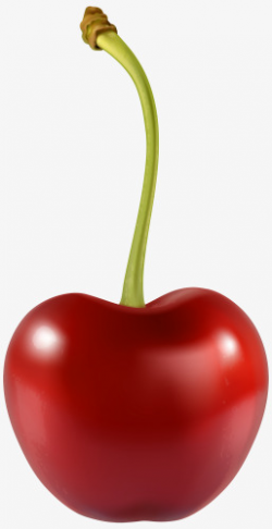 Bright Cherry Delicious, Cherry, Cherries, Green PNG Image and ...