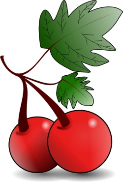 Cherries Fruit clip art Free vector in Open office drawing svg ...
