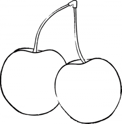 Cherry Drawing at GetDrawings.com | Free for personal use Cherry ...