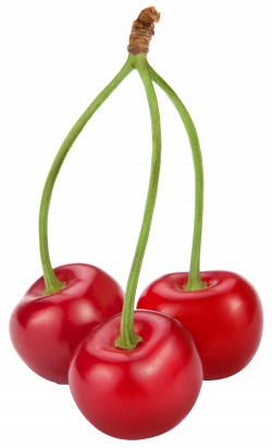 Cherries PNG Clipart | Gallery Yopriceville - High-Quality Images ...