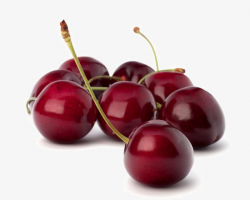 Cherry, Fresh Cherries, Cherries PNG Image and Clipart for Free Download